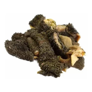Tripe/Maguru
